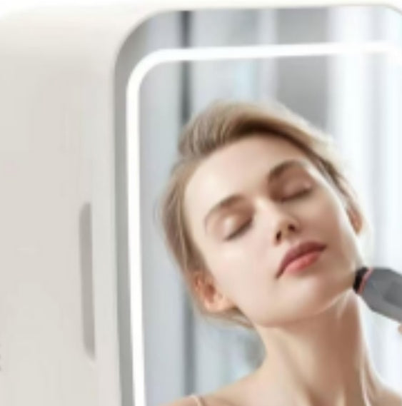 Self-pickup Color Random Skin Care Refrigerator With Dimmable LED Light Mirror