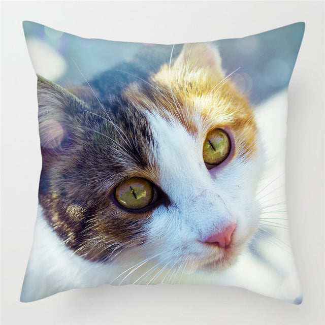 Hairless Pillowcase Home Sofa Cushion Cover - Smooth Decorative Throw Pillow Case