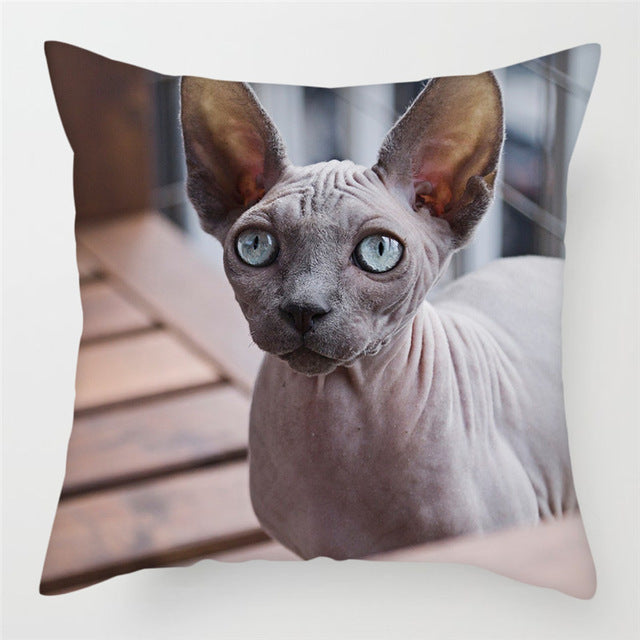 Hairless Pillowcase Home Sofa Cushion Cover - Smooth Decorative Throw Pillow Case