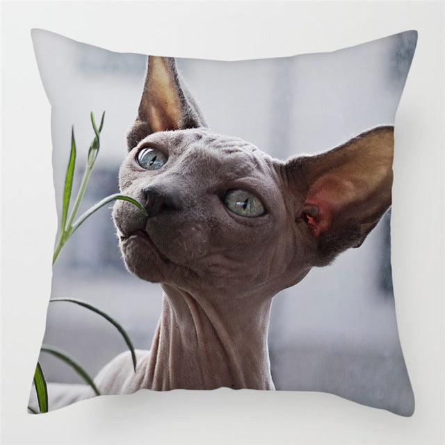 Hairless Pillowcase Home Sofa Cushion Cover - Smooth Decorative Throw Pillow Case