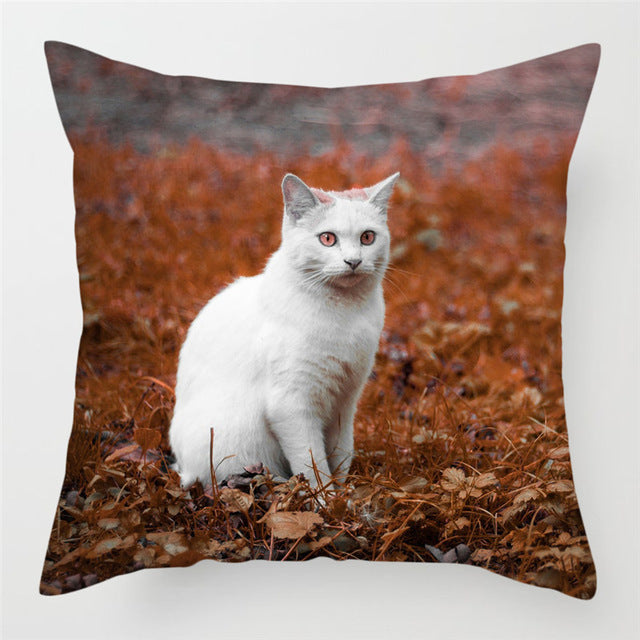 Hairless Pillowcase Home Sofa Cushion Cover - Smooth Decorative Throw Pillow Case
