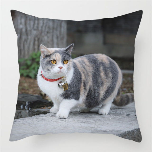 Hairless Pillowcase Home Sofa Cushion Cover - Smooth Decorative Throw Pillow Case