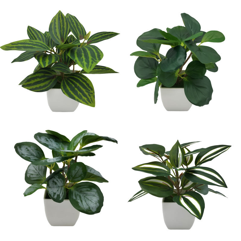 Premium 3D Printed Bonsai Decoration Set - Modern Living Room Plant Ornaments
