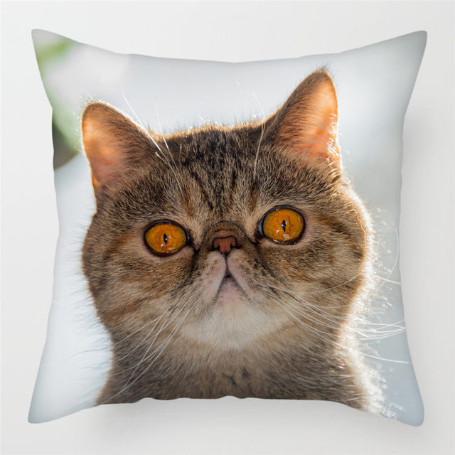 Hairless Pillowcase Home Sofa Cushion Cover - Smooth Decorative Throw Pillow Case