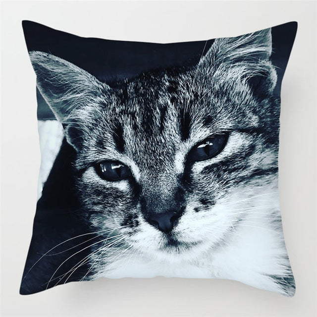 Hairless Pillowcase Home Sofa Cushion Cover - Smooth Decorative Throw Pillow Case