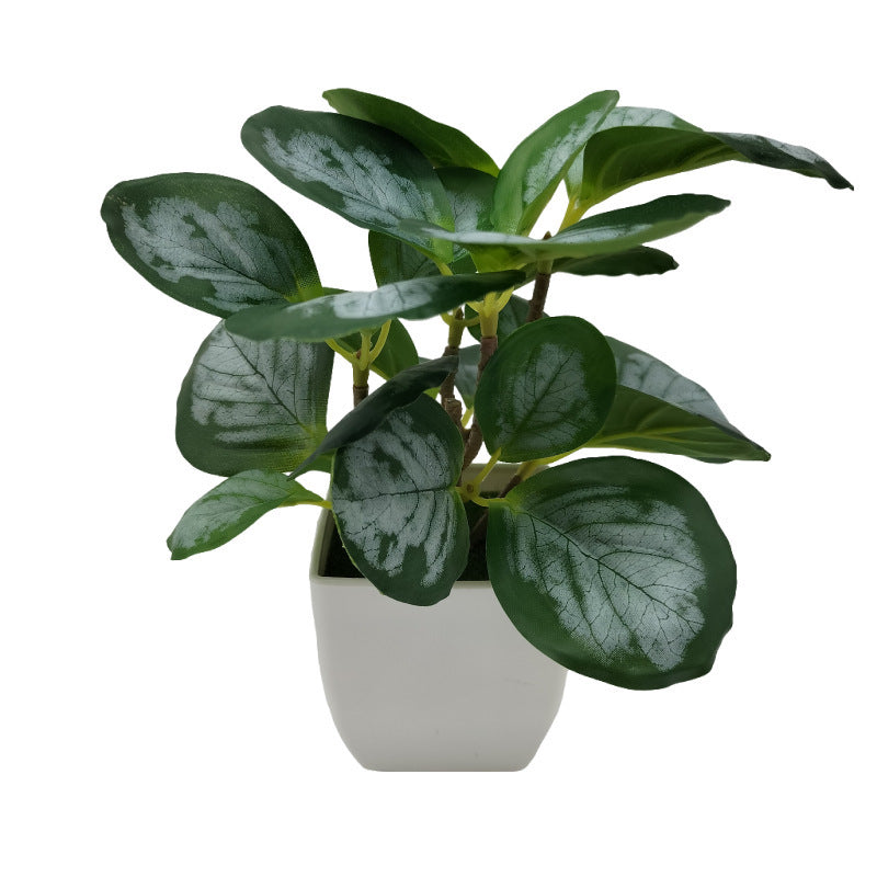 Premium 3D Printed Bonsai Decoration Set - Modern Living Room Plant Ornaments