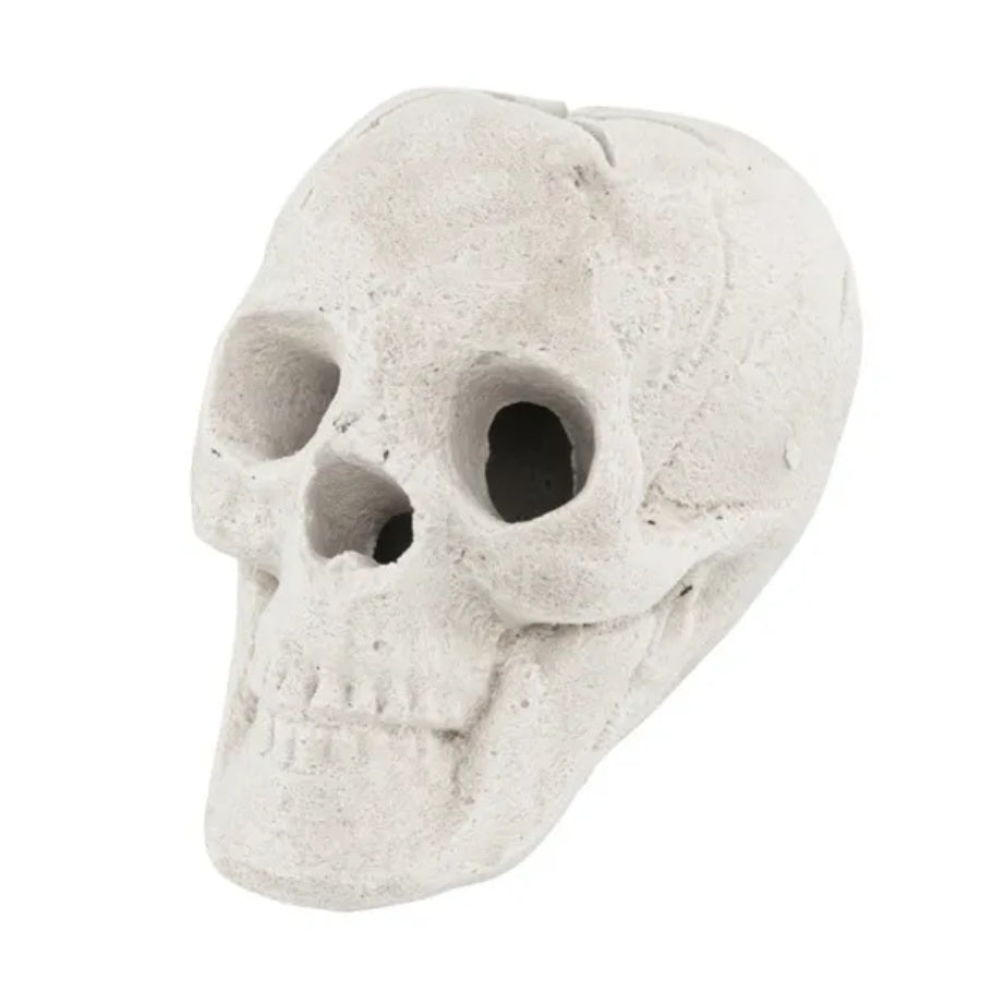 Halloween Decoration - Beige Neutral Spooky Accent