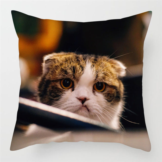 Hairless Pillowcase Home Sofa Cushion Cover - Smooth Decorative Throw Pillow Case