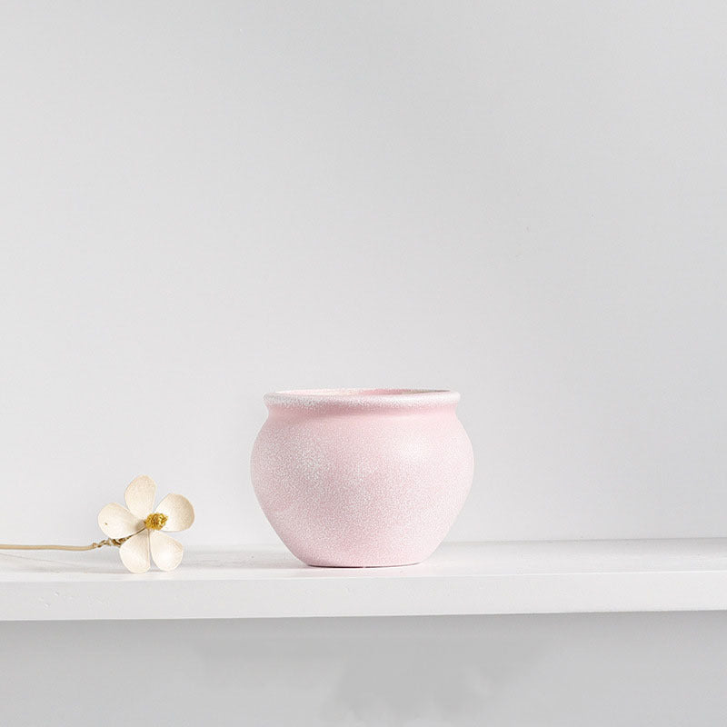 Premium Creative Ceramic Flower Pot - Modern Home Decoration Gardening Planter