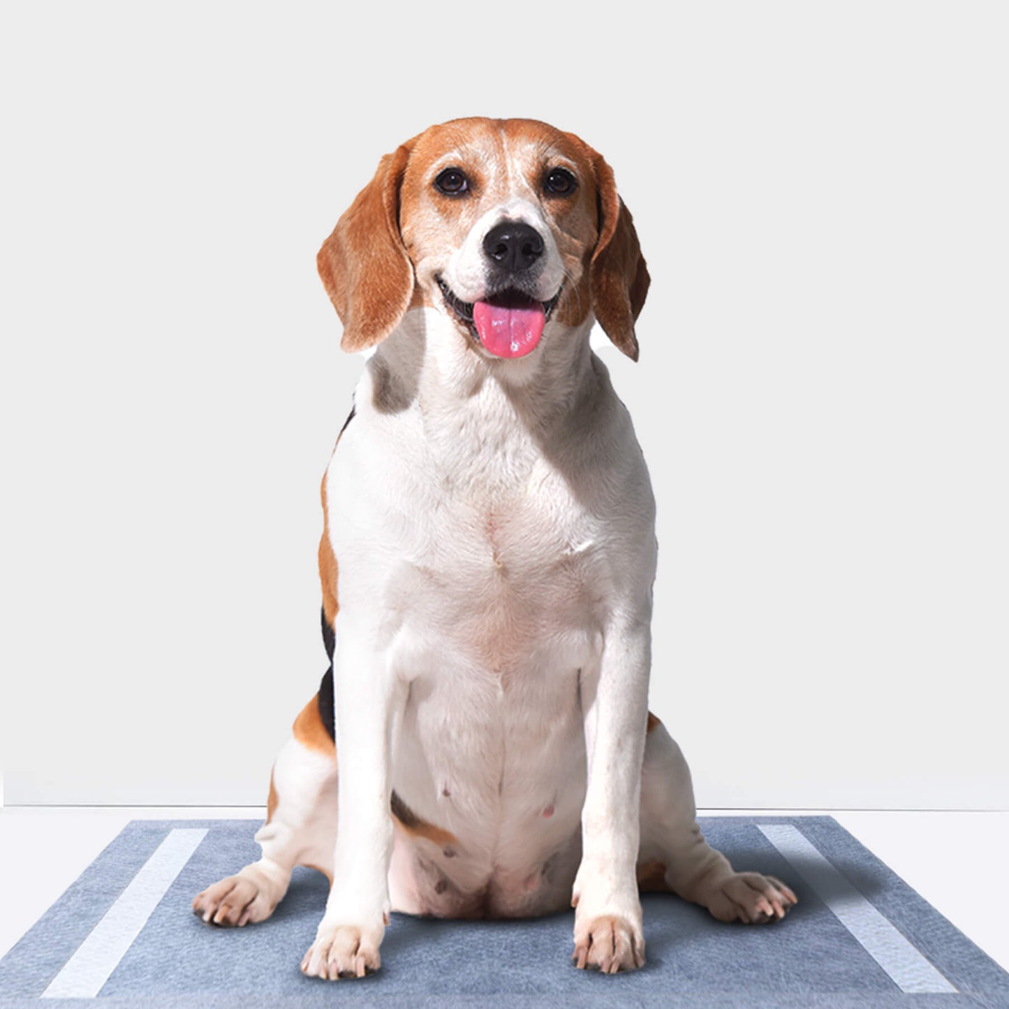 PETMARVEL Disposable Charcoal Puppy Pads Odor Control 24x24 Inches