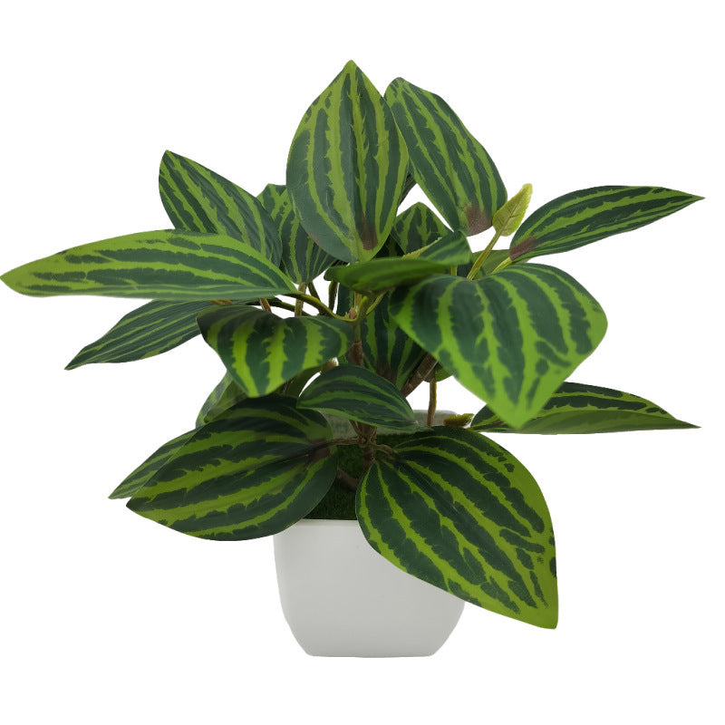 Premium 3D Printed Bonsai Decoration Set - Modern Living Room Plant Ornaments