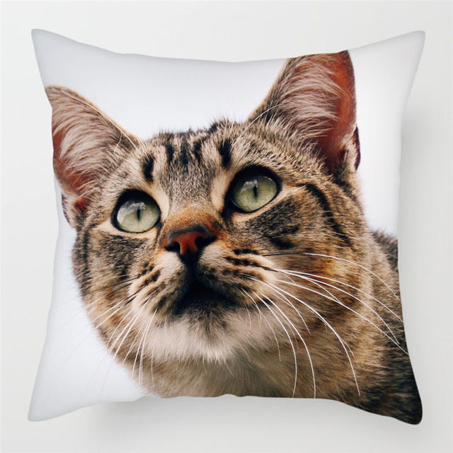 Hairless Pillowcase Home Sofa Cushion Cover - Smooth Decorative Throw Pillow Case