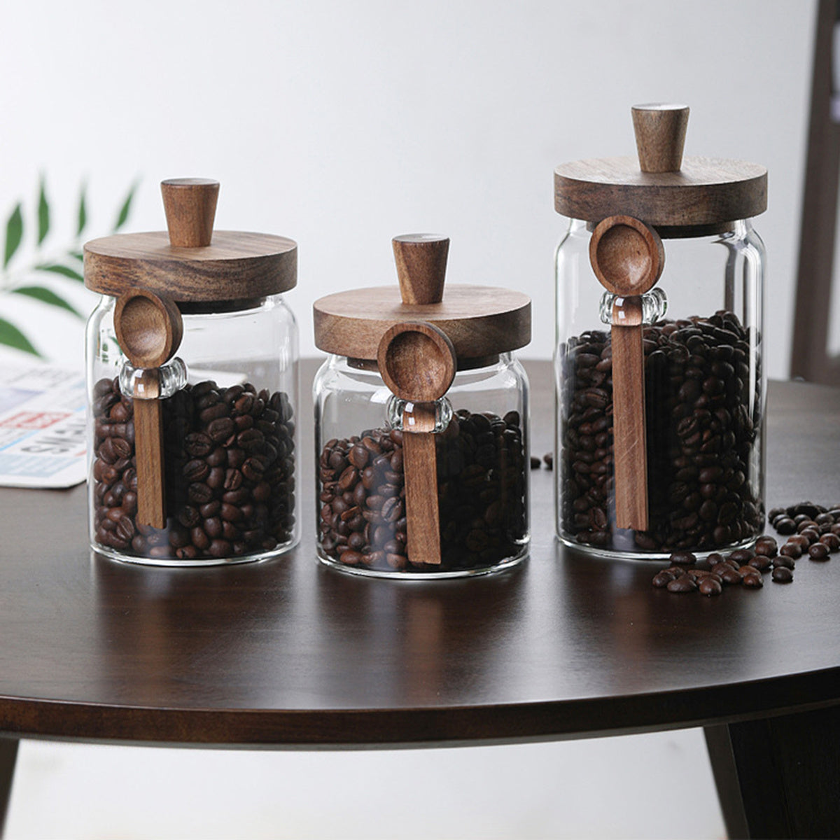 Glass Coffee Storage Jars Set - 3 Piece with Spoons for Coffee, Tea & Kitchen Storage