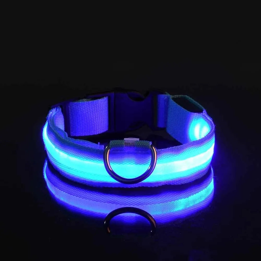 LED Flashing Glow-in-the-Dark Nylon Dog Leash