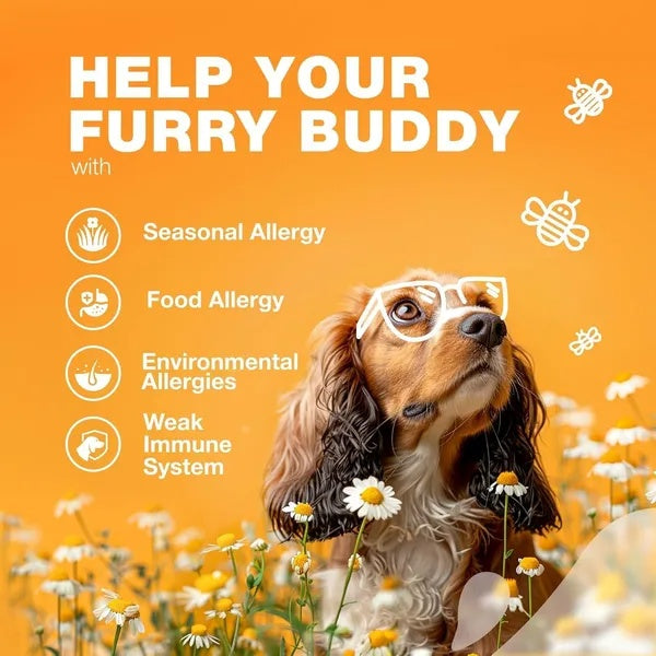 Dog Allergy Relief Chews Itch Relief For Dogs Anti Itch Dog Allergy Chews US Formulated Dog Itching Skin Relief With Salmon Oil Immune Health Seasonal Allergies & Hot Spots Support Treats