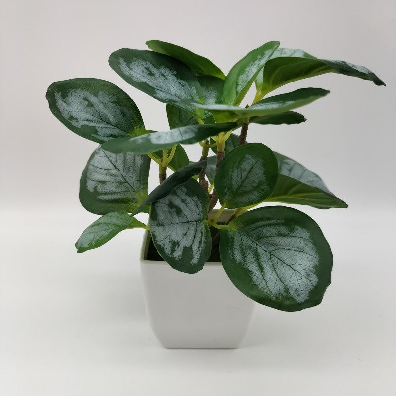 Premium 3D Printed Bonsai Decoration Set - Modern Living Room Plant Ornaments