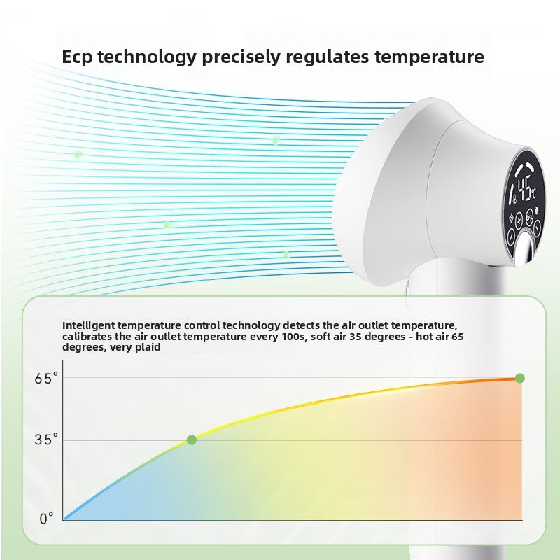 Professional Pet Hair Dryer & Grooming Tool - 2-in-1 Design