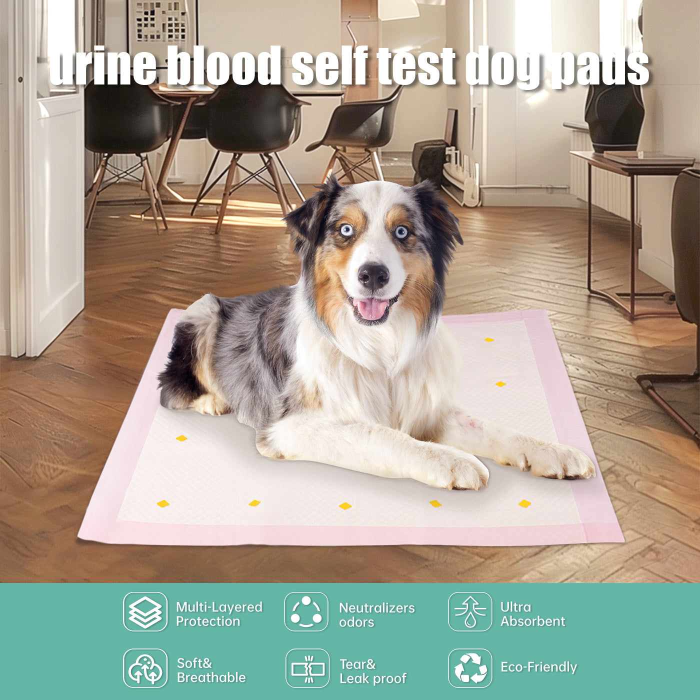 Dog Detection Urine Pad - Absorbent Training Pads for Puppies and Adult Dogs