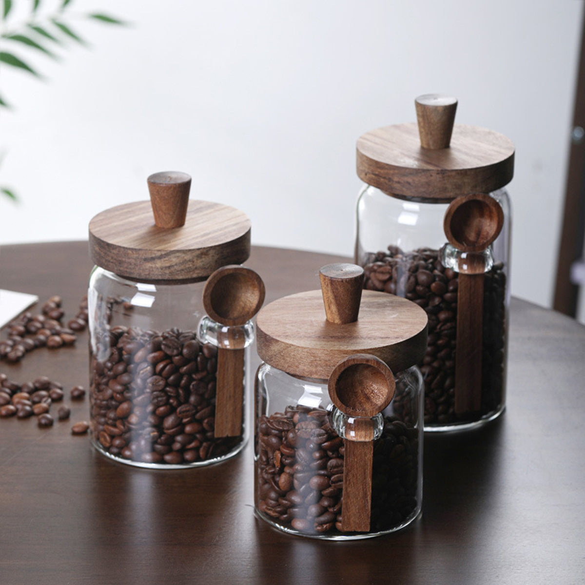 Glass Coffee Storage Jars Set - 3 Piece with Spoons for Coffee, Tea & Kitchen Storage