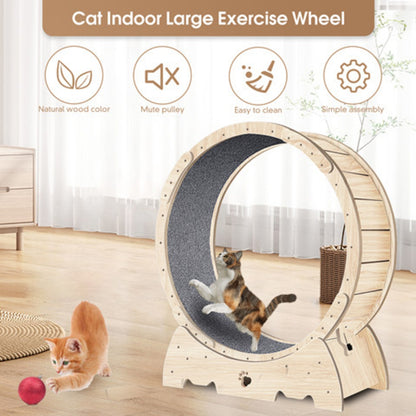 Cat Exercise Wheel For Indoor Cats, Running Wheel With Carpeted Runway - DropOnline.co