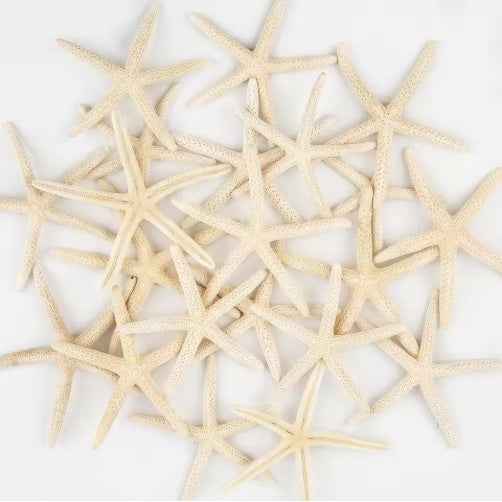 20 PCS Natural Real Starfish - 2-4 Inch & 4-6 Inch for DIY Crafts Wedding Beach - DropOnline.co