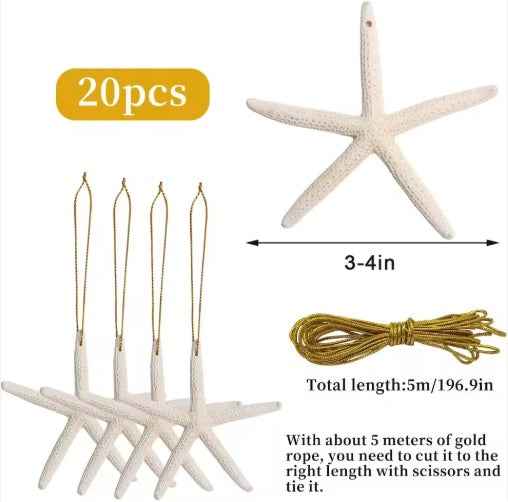 20 PCS Christmas Starfish Hanging Ornaments - 3-4'' Natural Starfish with Rope - DropOnline.co
