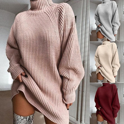 Solid Turtleneck Long Sweater Winter Warm Women Sweater Dress - DropOnline.co