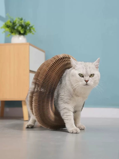 Folding Cat Scratcher, A Magical Foldable Toy - DropOnline.co