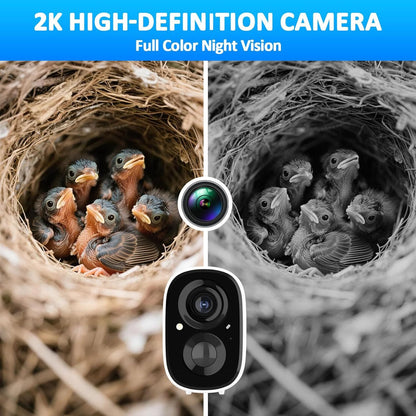 Smart Bird Houses For Outside Solar Powered,4MP Birdhouse Camera For Outdoors, Watch Bird Nesting & Hatching In Real Time, AI Identify Bird Behavior & Create, DIY Ideal Gift - DropOnline.co