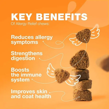Dog Allergy Relief Chews Itch Relief For Dogs Anti Itch Dog Allergy Chews US Formulated Dog Itching Skin Relief With Salmon Oil Immune Health Seasonal Allergies & Hot Spots Support Treats - DropOnline.co