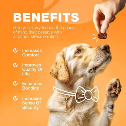Dog Allergy Relief Chews Itch Relief For Dogs Anti Itch Dog Allergy Chews US Formulated Dog Itching Skin Relief With Salmon Oil Immune Health Seasonal Allergies & Hot Spots Support Treats - DropOnline.co