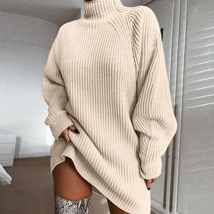 Solid Turtleneck Long Sweater Winter Warm Women Sweater Dress - DropOnline.co