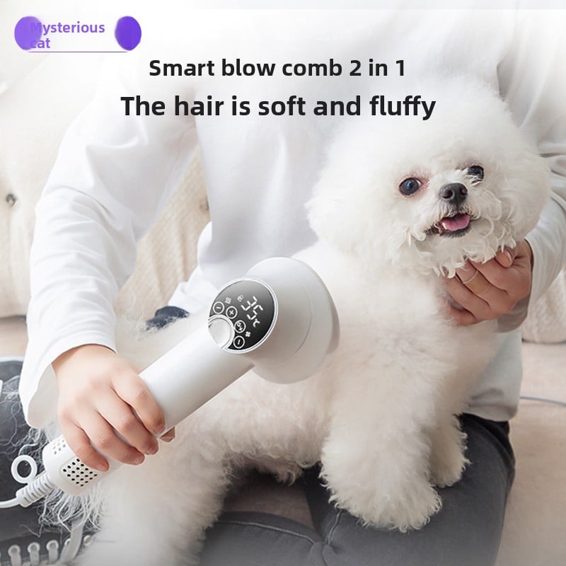 Professional Pet Hair Dryer & Grooming Tool - 2-in-1 Design