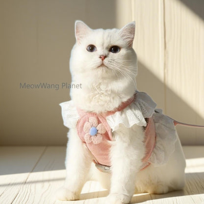 Dog Leash Cat Leash Premium Summer Pet Harness Leash Set Breathable Lightweight And Escape Proof Vest For Cats Small Dogs Adjustable Outdoor Walking Gear With Secure Leash Attachment Luxury Pet Gift F - DropOnline.co