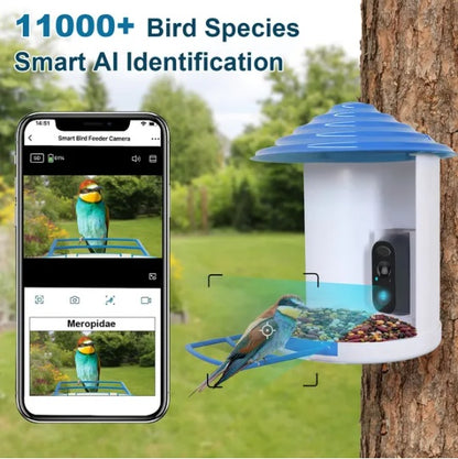 Smart Bird Feeder With Solar Powered Camera 1080P HD AI Identify PIR Motion Auto Capture Video Cloud Card Storage WiFi Connection App Control IP65 Waterproof - DropOnline.co