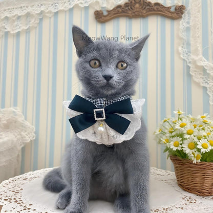 Dog Leash Cat Leash Luxury Lace Pet Harness Leash Set Elegant Inspired Adjustable Escape Proof Vest For Cats Small Dogs - DropOnline.co