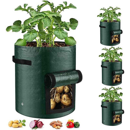 10 Gallon -6 Pack Potato Grow Bags