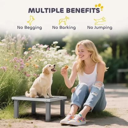 Wooden Dog Training Place Board, Dog Training Platform With Ladder, Pet Agility System For Indoor Outdoor - DropOnline.co