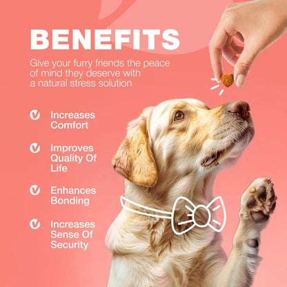 Dog Flea And Tick Treatment Chews FleaTick Prevention For Dogs Chewables Natural Dog Flea & Tick Control Soft Treats Immune Support Supplement - DropOnline.co
