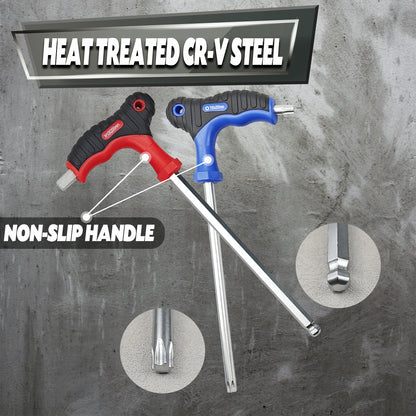 16-Piece Professional Hex Key Set