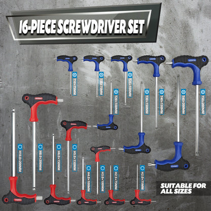 16-Piece Professional Hex Key Set