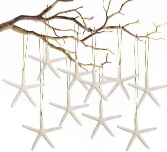20 PCS Christmas Starfish Hanging Ornaments - 3-4'' Natural Starfish with Rope - DropOnline.co
