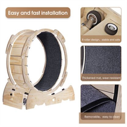 Cat Exercise Wheel For Indoor Cats, Running Wheel With Carpeted Runway - DropOnline.co