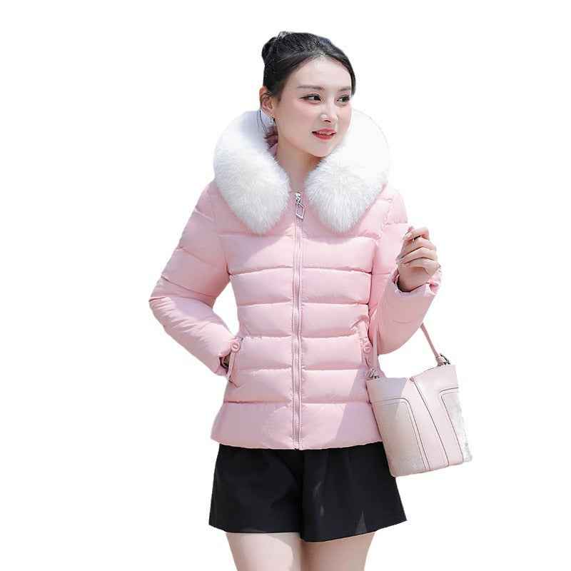 Women's Slim Fit Short Padded Coat With Fur Collar