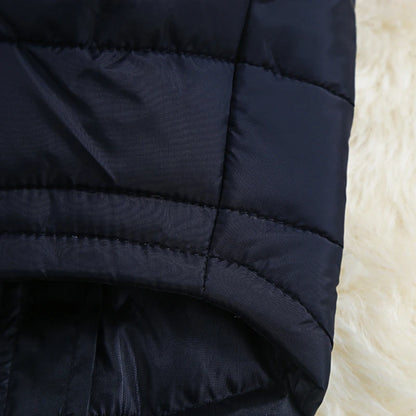 Waterproof Winter Dog Coat for Small to Large Dogs