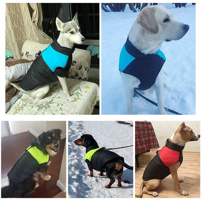 Waterproof Winter Dog Coat for Small to Large Dogs