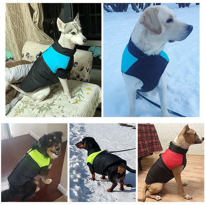 Waterproof Winter Dog Coat for Small to Large Dogs