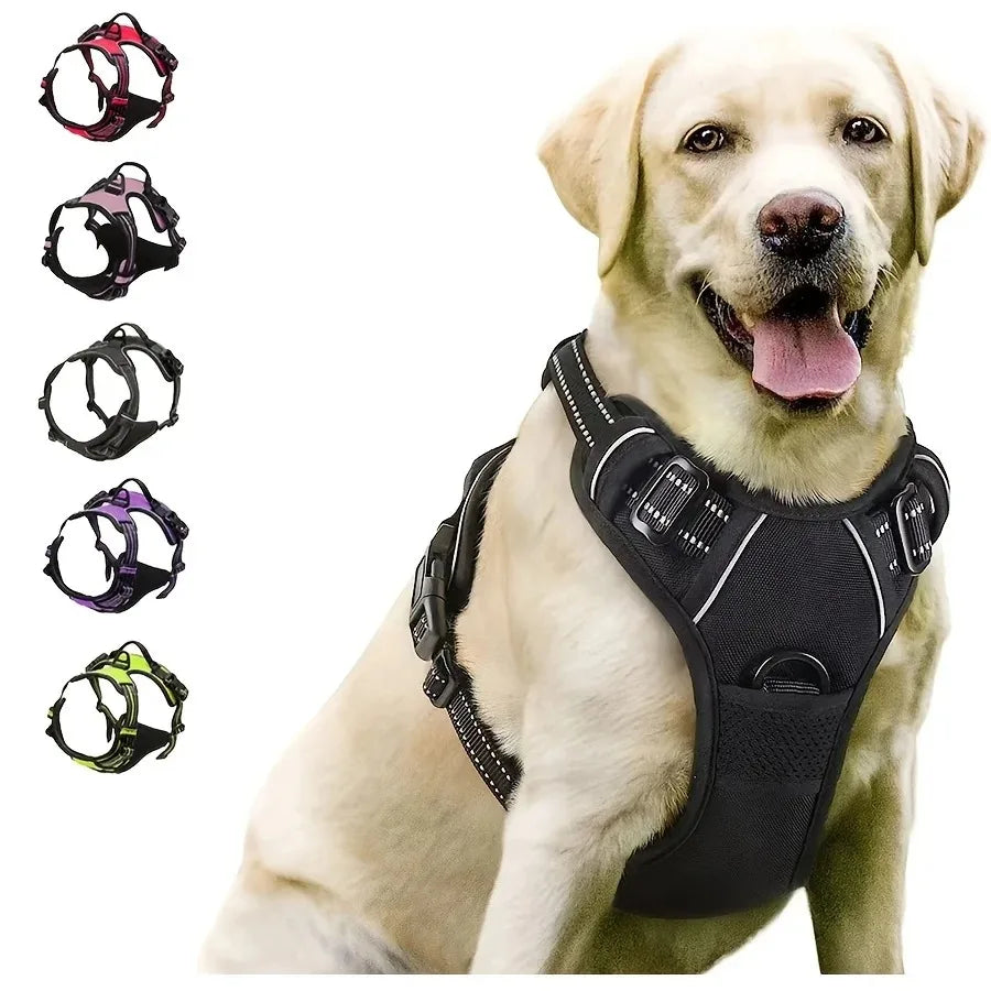 Dog Collar, Harness & Leash Set — Leather Puppy Accessories for Small, Medium & Large Dogs