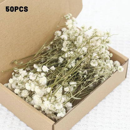 Flower Eternal Dry Flowers Gypsophila Floral Arrangement Dried Flower Creative DIY Home Wedding Decoration Gift 50 Pieces
