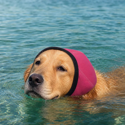 Calming Head Cover for Anxious Dogs